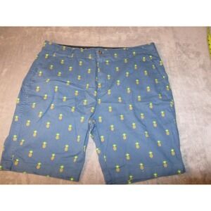 Plugg Flex Mens Blue Pineapple Print Chino Shorts Size 38 Tropical Summer Casual